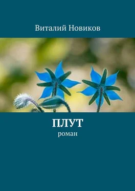 Виталий Новиков Плут. роман обложка книги