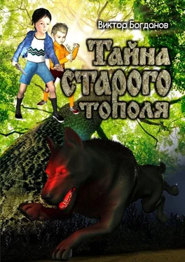 Виктор Богданов Тайна старого тополя обложка книги