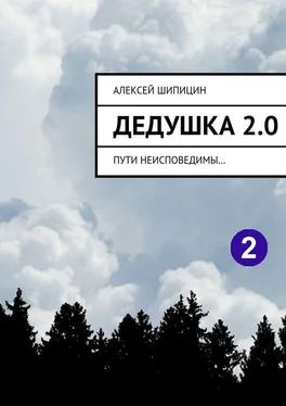 Алексей Шипицин Дедушка 2.0. Пути неисповедимы… обложка книги