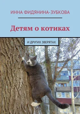 Инна Фидянина-Зубкова Детям о котиках. и других зверятах обложка книги