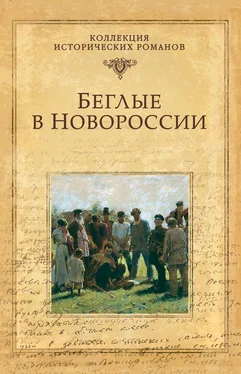 Григорий Данилевский Беглые в Новороссии (сборник)