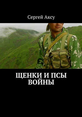 Сергей Аксу Щенки и псы войны обложка книги