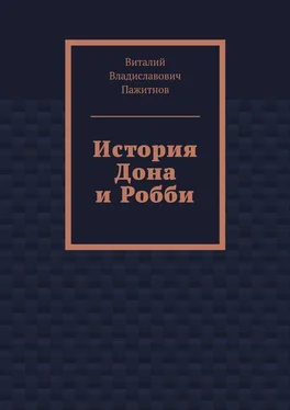 Виталий Пажитнов История Дона и Робби обложка книги