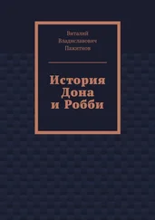Виталий Пажитнов - История Дона и Робби