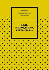 Виталий Пажитнов - Даль, мироздание, суета сует…