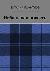 Виталий Пажитнов - Небольшая повесть