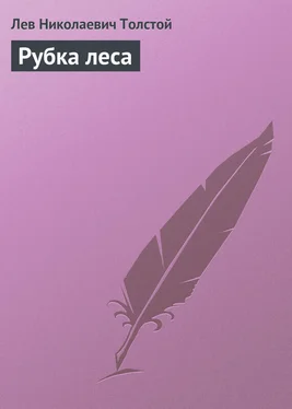 Лев Толстой Рубка леса обложка книги