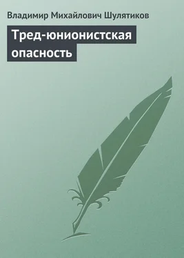 Владимир Шулятиков Тред-юнионистская опасность обложка книги