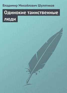 Владимир Шулятиков Одинокие таинственные люди обложка книги