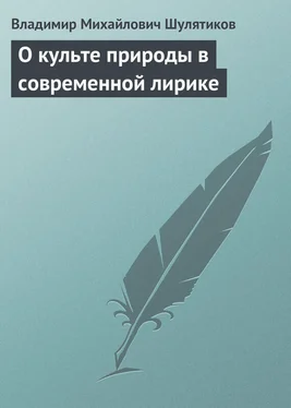 Владимир Шулятиков О культе природы в современной лирике обложка книги