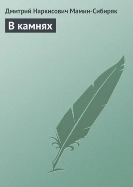 Дмитрий Мамин-Сибиряк В камнях обложка книги