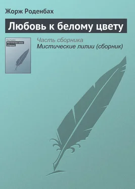 Жорж Роденбах Любовь к белому цвету обложка книги