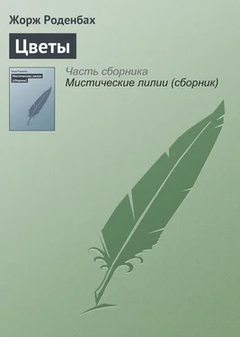 Жорж Роденбах Цветы обложка книги