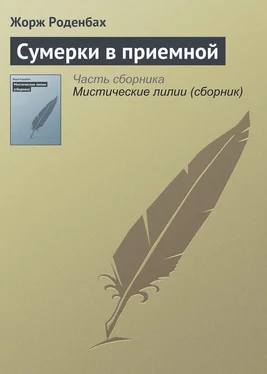 Жорж Роденбах Сумерки в приемной обложка книги