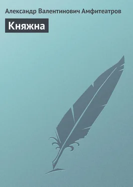 Александр Амфитеатров Княжна обложка книги