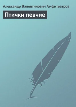 Александр Амфитеатров Птички певчие обложка книги