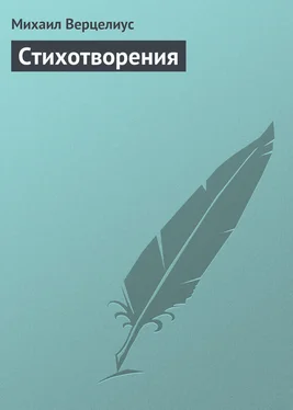 Михаил Верцелиус Стихотворения обложка книги