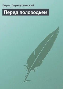 Борис Верхоустинский Перед половодьем обложка книги