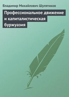 Владимир Шулятиков Профессиональное движение и капиталистическая буржуазия обложка книги