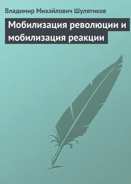 Владимир Шулятиков Мобилизация революции и мобилизация реакции обложка книги