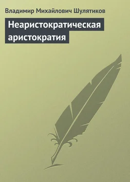 Владимир Шулятиков Неаристократическая аристократия обложка книги
