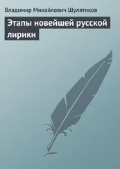 Владимир Шулятиков - Этапы новейшей русской лирики