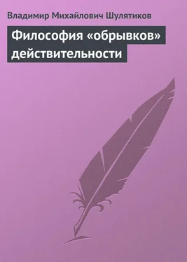 Владимир Шулятиков Философия «обрывков» действительности обложка книги