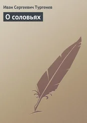 Иван Тургенев - О соловьях