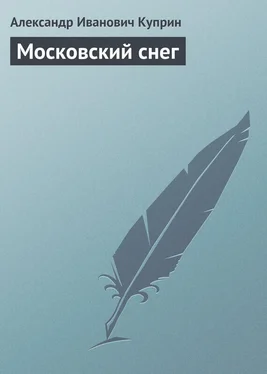 Александр Куприн Московский снег обложка книги