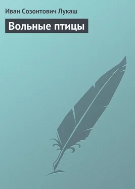 Иван Лукаш Вольные птицы обложка книги