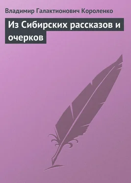 Владимир Короленко Из Сибирских рассказов и очерков обложка книги