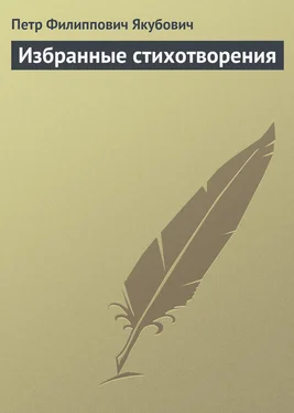 Петр Якубович Избранные стихотворения обложка книги