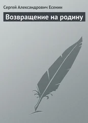 Сергей Есенин - Возвращение на родину