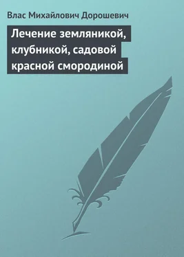 Влас Дорошевич Лечение земляникой, клубникой, садовой красной смородиной обложка книги