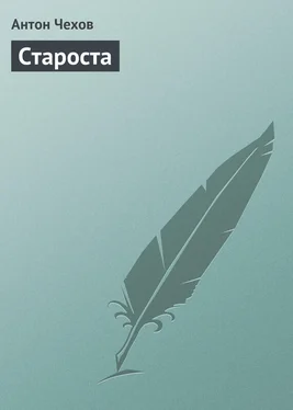 Антон Чехов Староста обложка книги