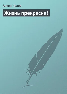 Антон Чехов Жизнь прекрасна! обложка книги