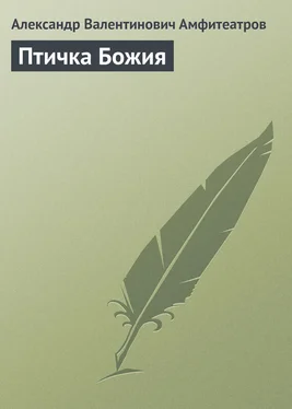 Александр Амфитеатров Птичка Божия обложка книги