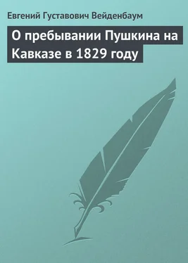 Евгений Вейденбаум О пребывании Пушкина на Кавказе в 1829 году обложка книги