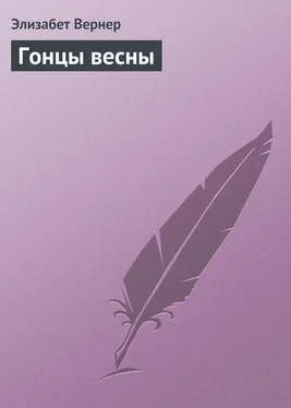 Элизабет Вернер Гонцы весны обложка книги