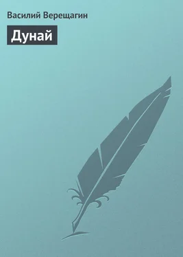 Василий Верещагин Дунай обложка книги