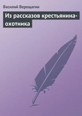 Василий Верещагин Из рассказов крестьянина-охотника обложка книги