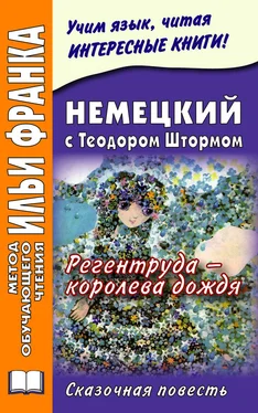 Илья Франк Немецкий с Теодором Штормом. Регентруда – королева дождя обложка книги