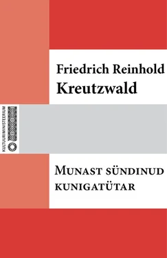 Friedrich Reinhold Kreutzwald Munast sündinud kuningatütar обложка книги
