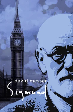 David Messer Sigmund обложка книги