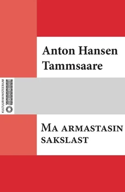 Anton Tammsaare Ma armastasin sakslast обложка книги