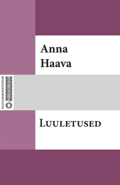 Anna Haava Luuletused обложка книги