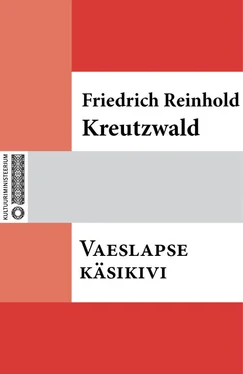 Friedrich Reinhold Kreutzwald Vaeslapse käsikivi обложка книги