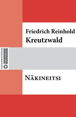 Friedrich Reinhold Kreutzwald Näkineitsi обложка книги