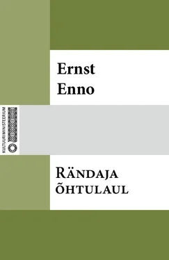 Ernst Enno Rändaja õhtulaul обложка книги