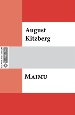 August Kitzberg Maimu обложка книги
